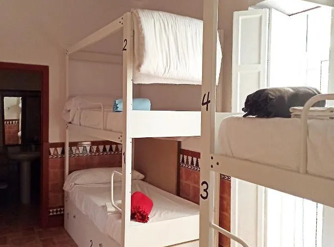 Vivian's Auto Check-in Guest house Jerez de la Frontera