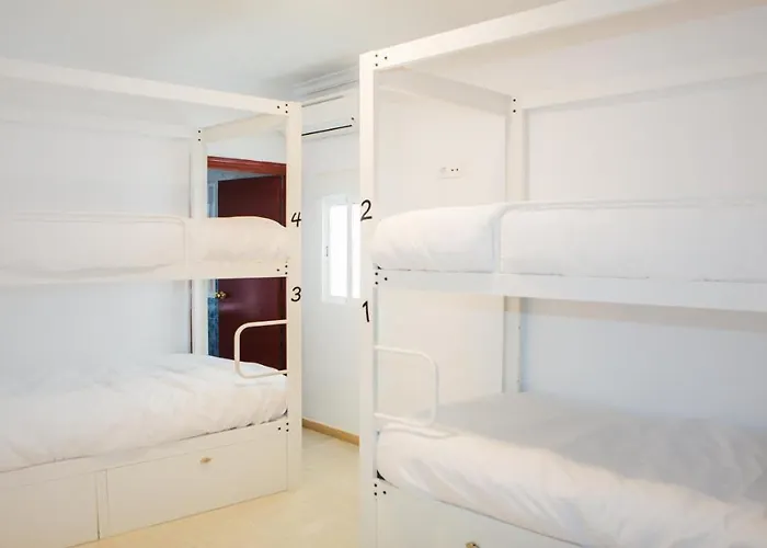 Vivian's Auto Check-in